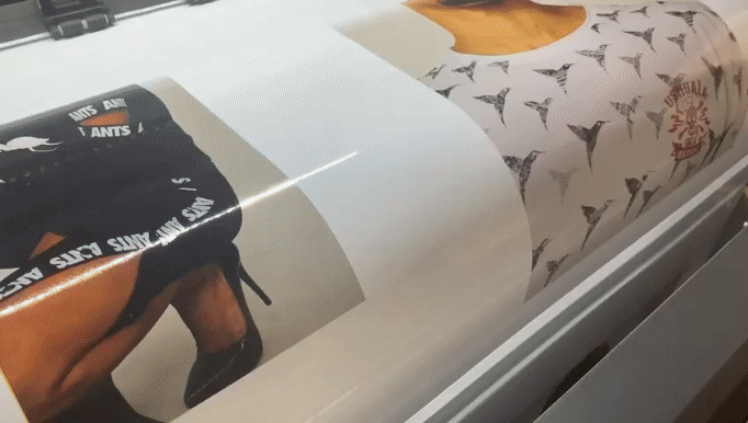 Impresión de vinilo